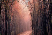 创造历史 王炜雄成我国首名PBA保龄球冠军.