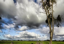 创造历史 王炜雄成我国首名PBA保龄球冠军.