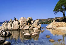 胜算几成？郑钦文查尔斯顿站第二轮对手确定，将战希腊名将萨卡里.